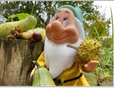 Peuters in het Groen!