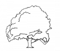 Stichting De Boom logo